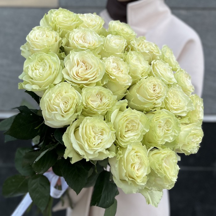 Роза белая Мондиаль 70 см